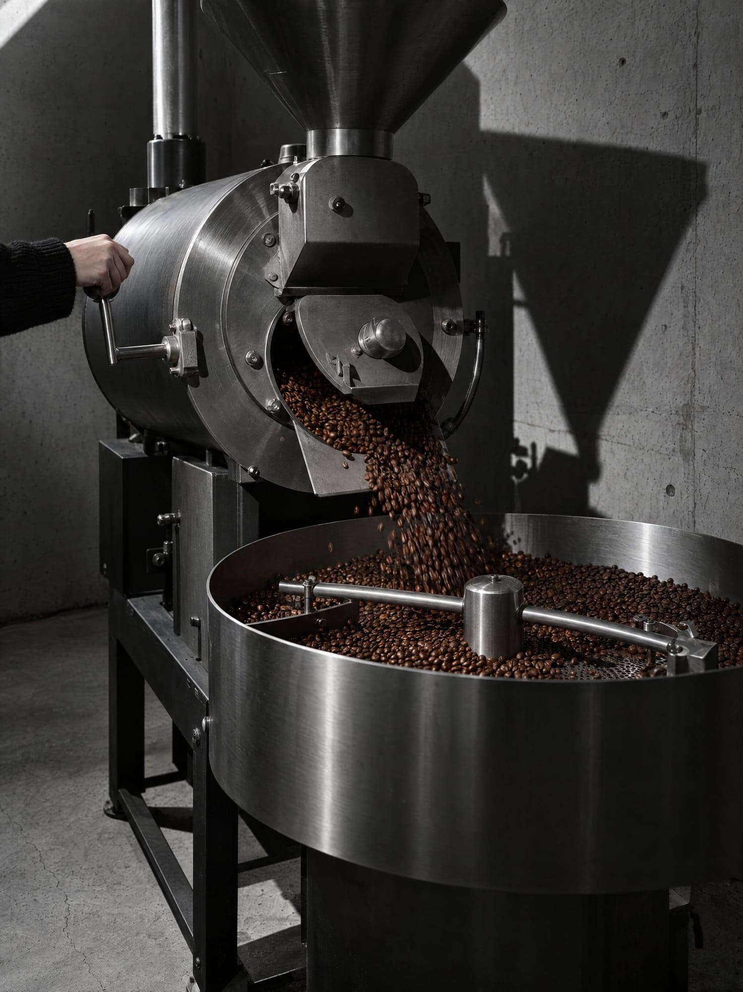 Drum roaster releasing beans into the cooling tray